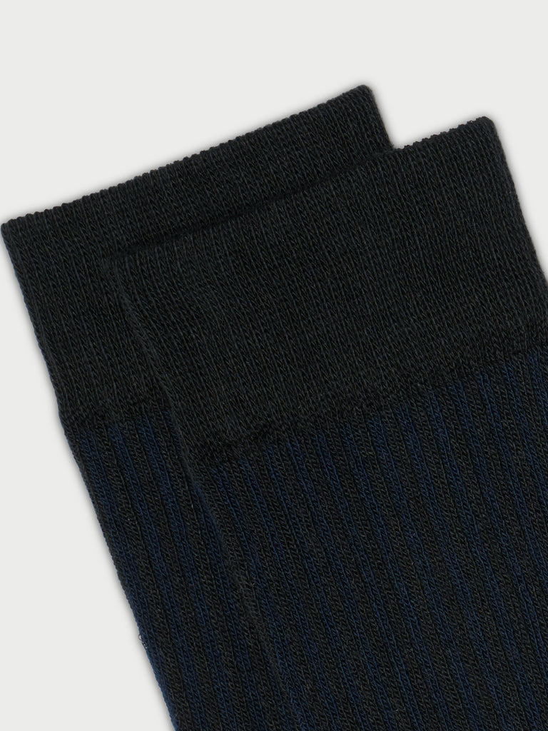 Hasburg Heir Navy