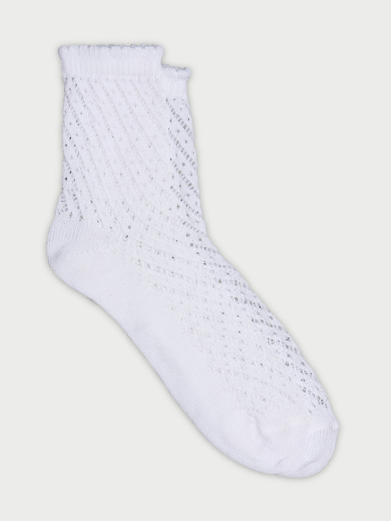 Rabbit White