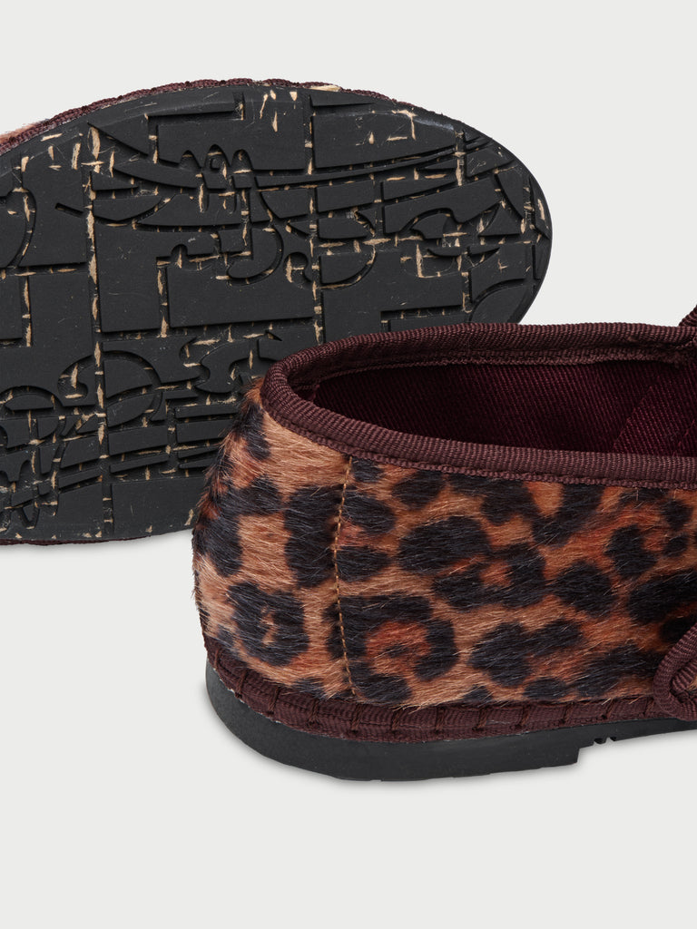 Pierre Feline Brown